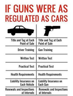 guns versus driver's license