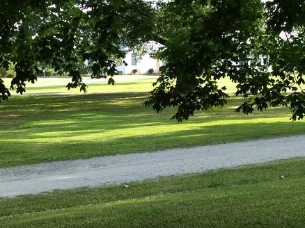 IMG_20190515_174059197