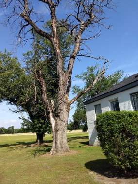 IMG_20190520_095151481