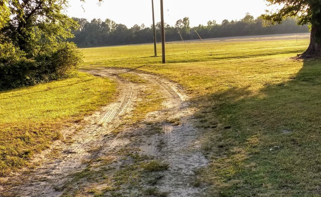 trail off the plantation