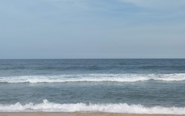 ocean city md summer 2019