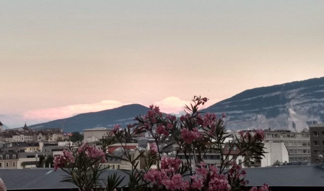 rooftop view of Geneva, Switzerland